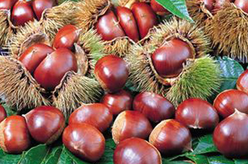 ���ӳ�������ʲô�仯�أ�