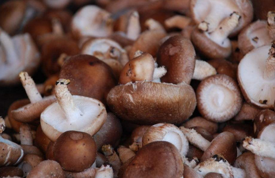 ���������ϴ����