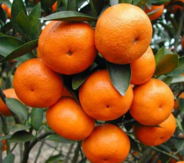 ɳ�ǽ�Ҫ�����ѡ���������õģ�