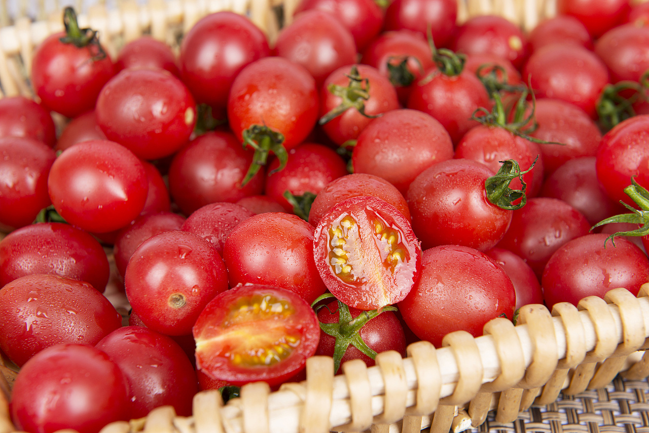 ʥŮ�����������ǲ���һ���ģ�