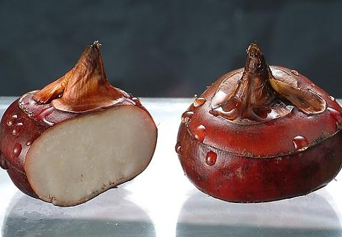 ��������ú͹�Ч�������أ����Խ�Ѫѹ�