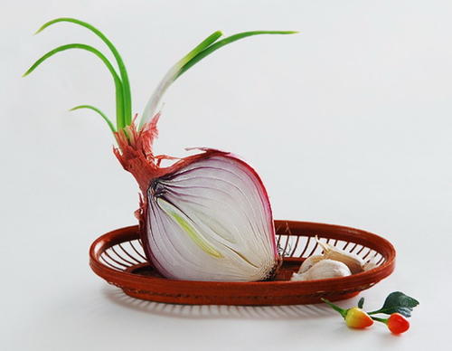 ʪ�����ʶ����8��ʳ������𵽵���������