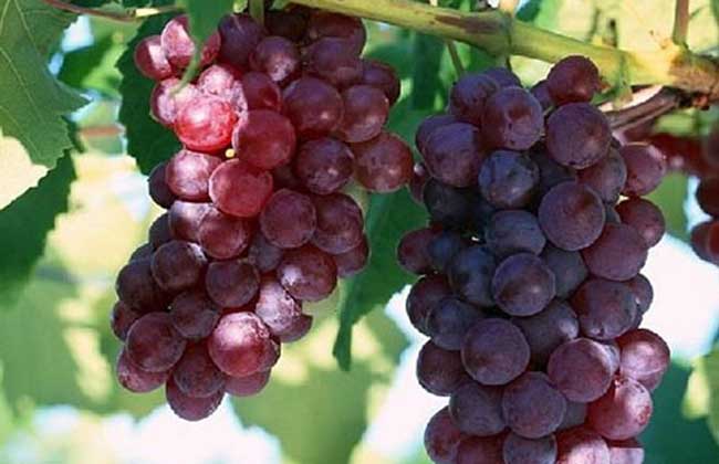 ��������������ɳ�7��ˮ��