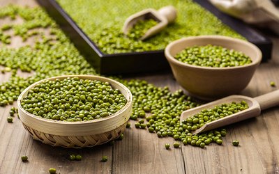 ���ı���ʳƷŴ�׳�ʪ���̶�ɢ��